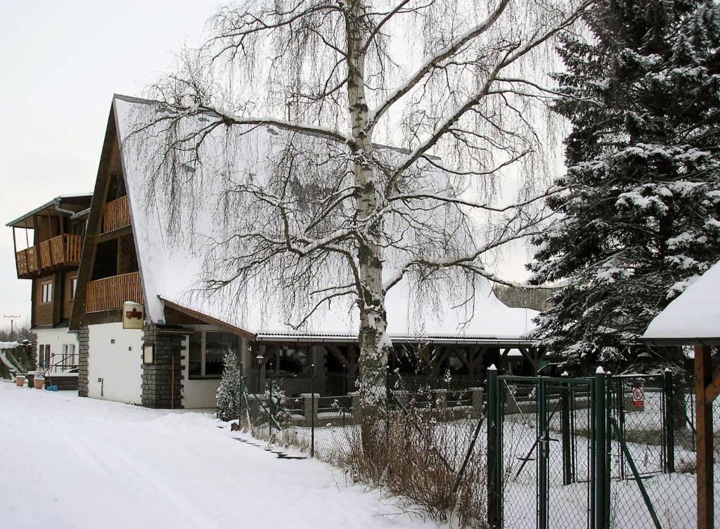 Koliba Belveder Hotel Horní Planá Kültér fotó